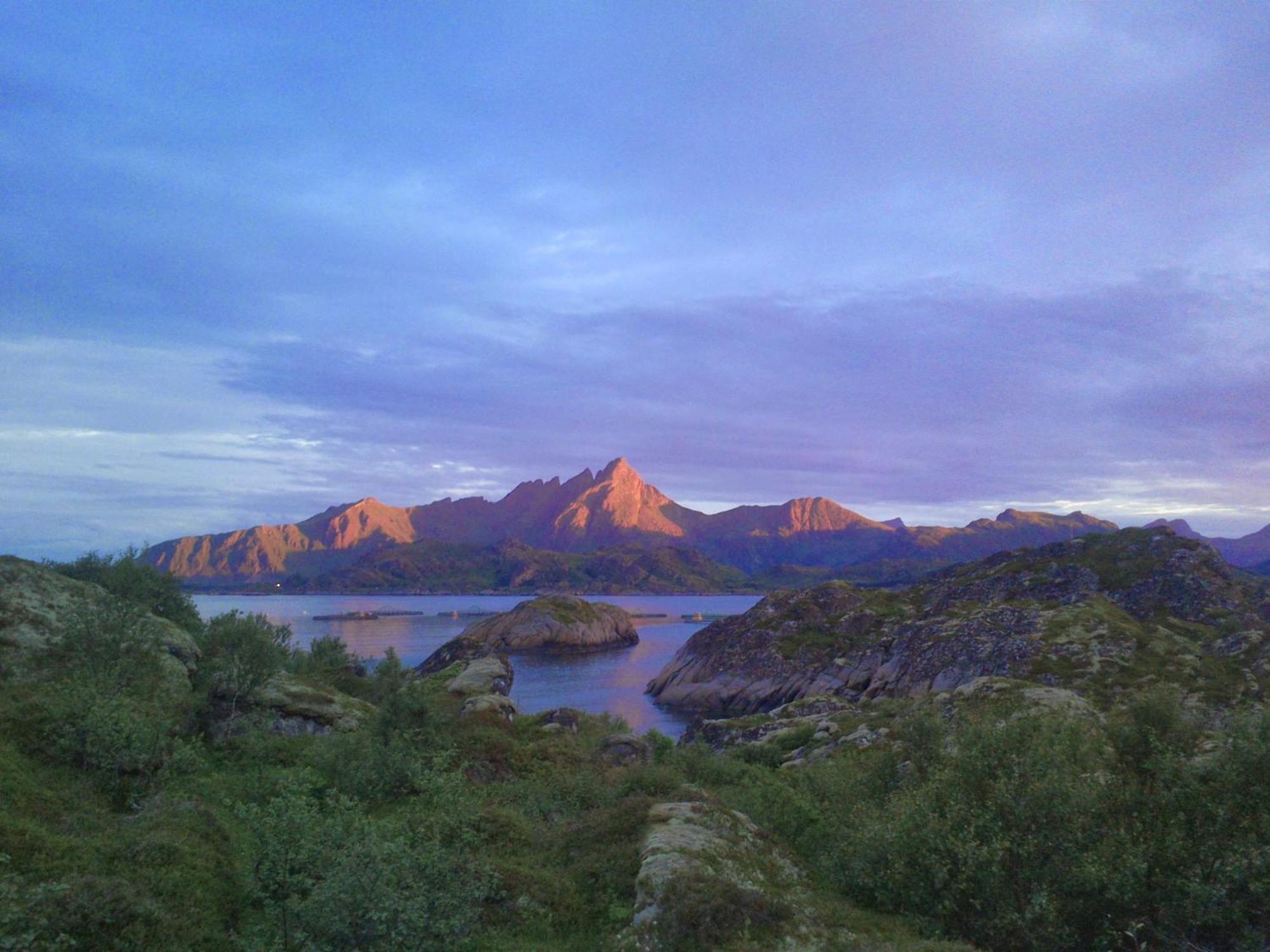 Unique Private Cabin In Lofoten Leknes Eksteriør bilde