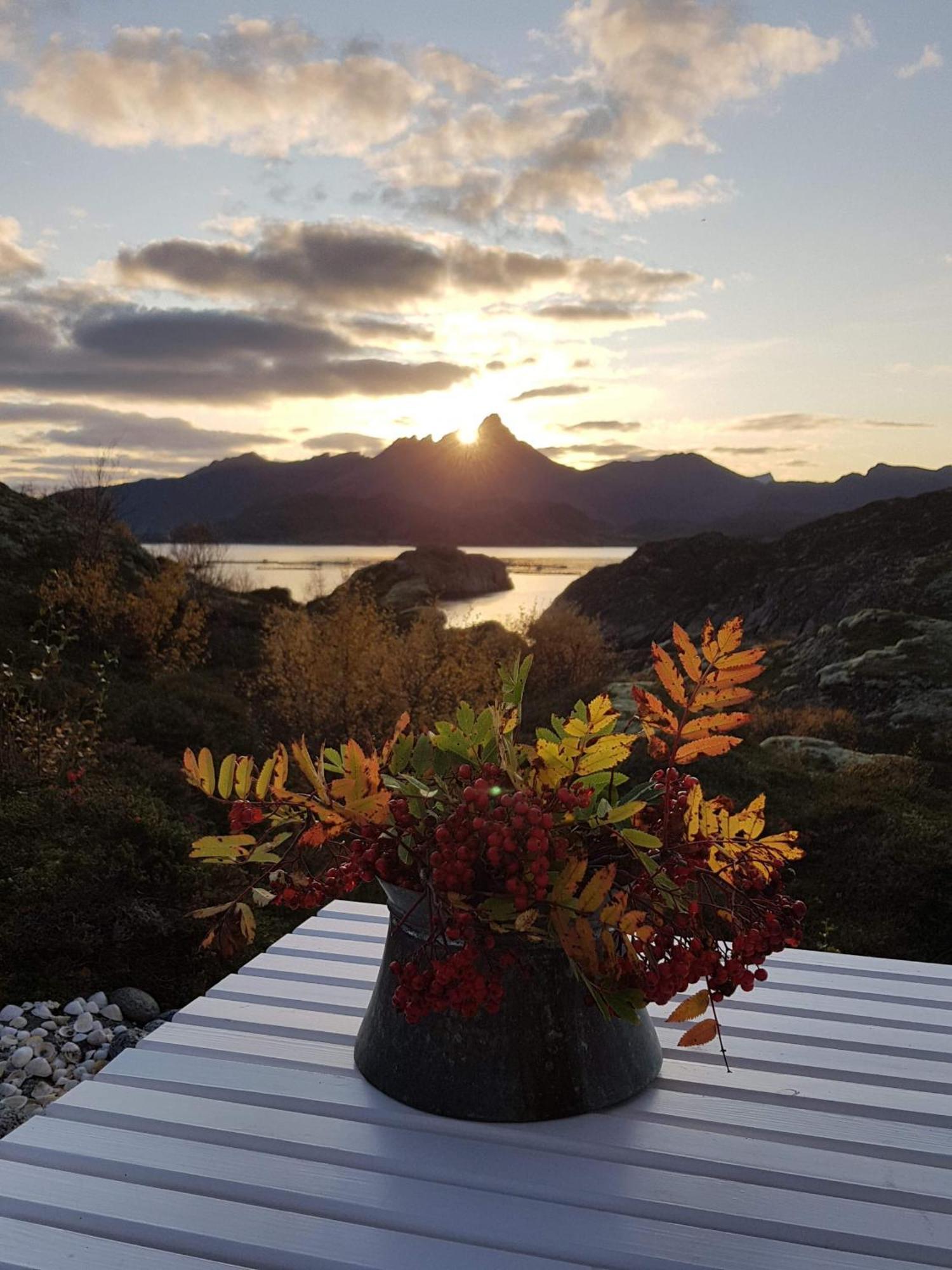Unique Private Cabin In Lofoten Leknes Eksteriør bilde