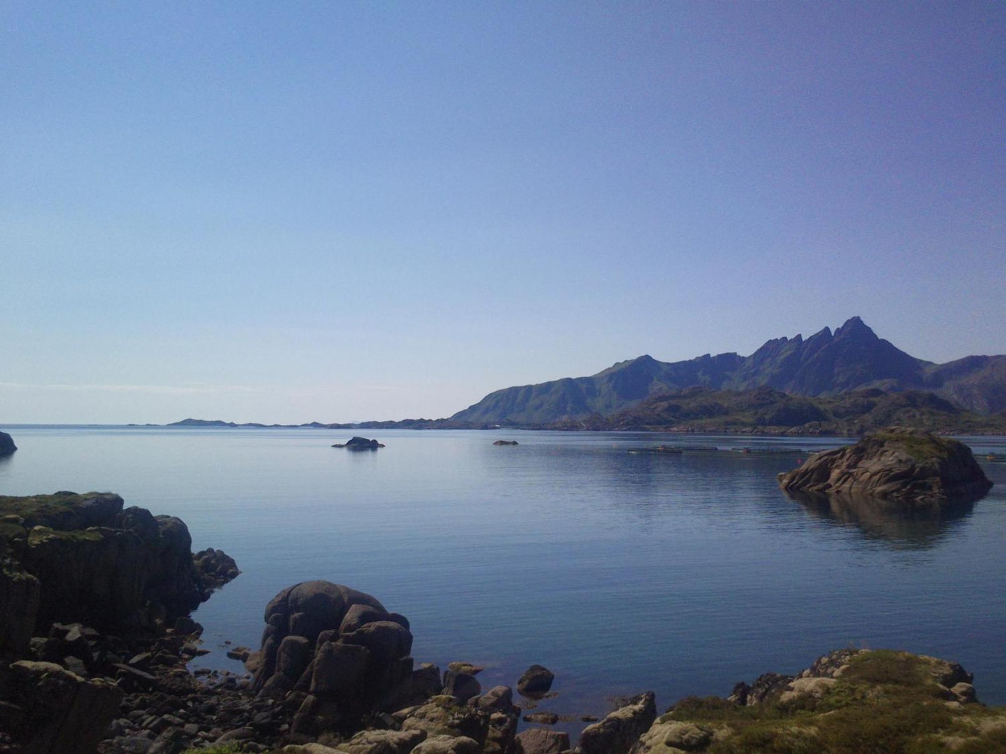 Unique Private Cabin In Lofoten Leknes Eksteriør bilde